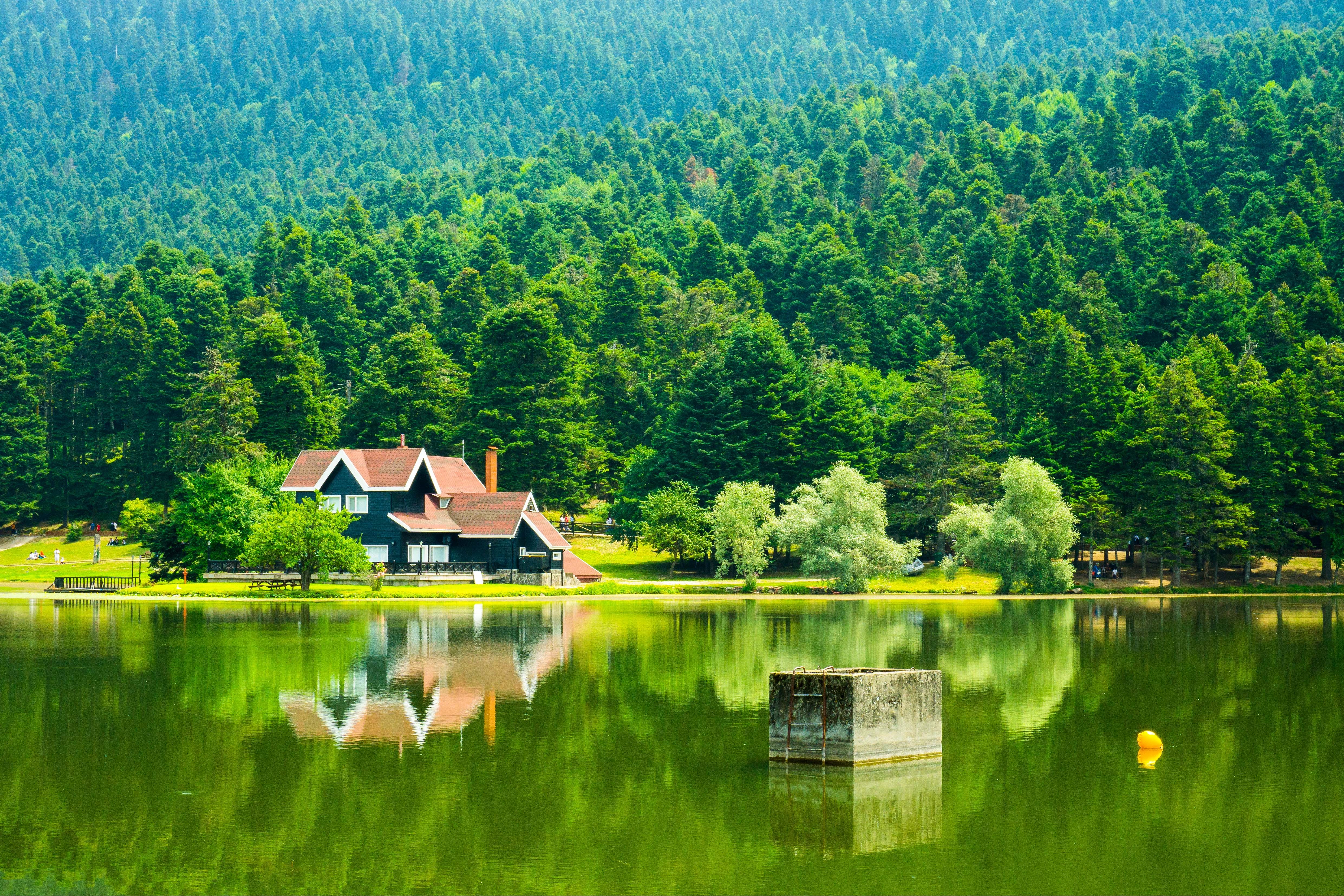 House by a lake with forest reflection HD Wallpaper