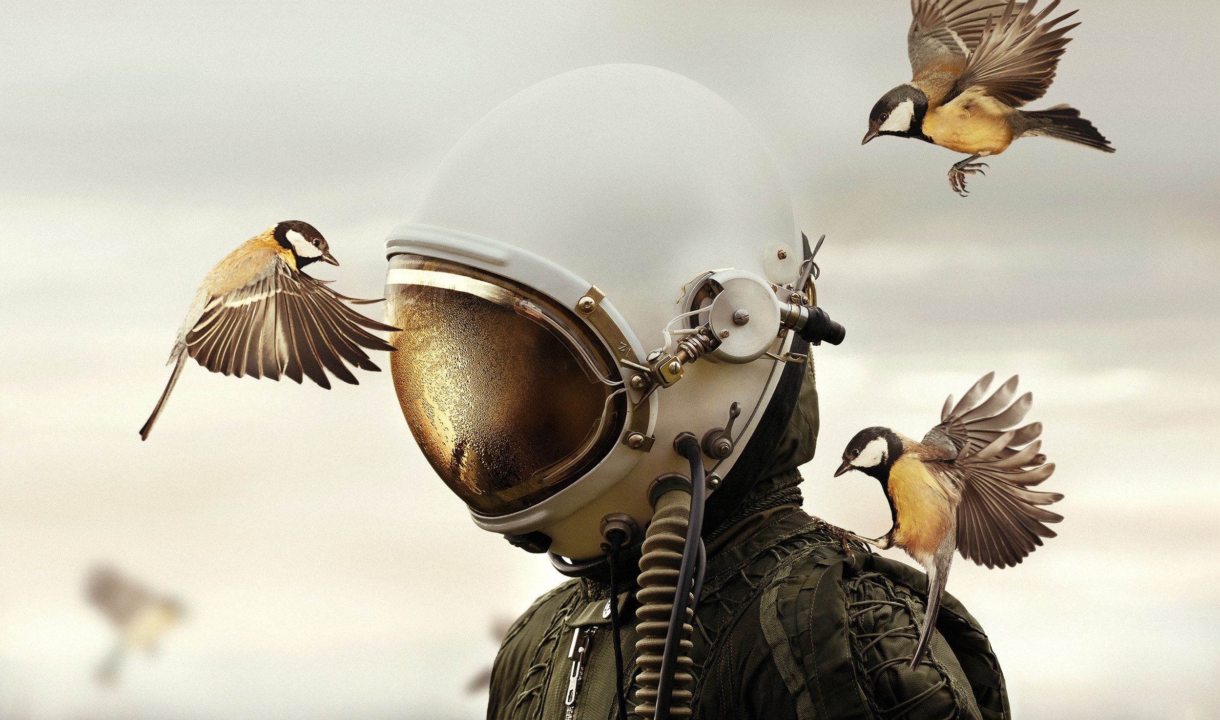 Astronaut helmet with birds flying around HD Wallpaper