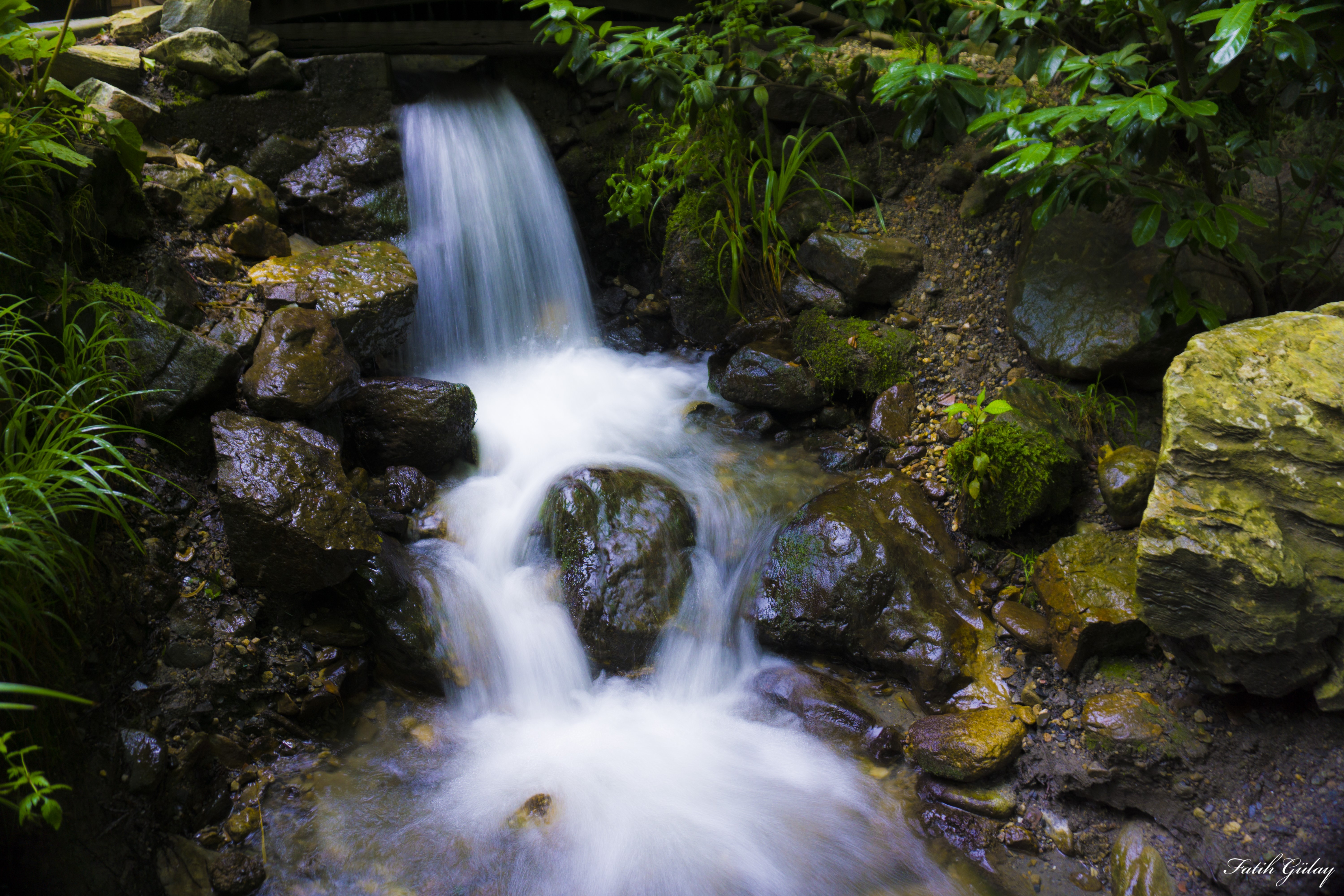 Waterfall over wet rocks with moss and green foliage HD Wallpaper