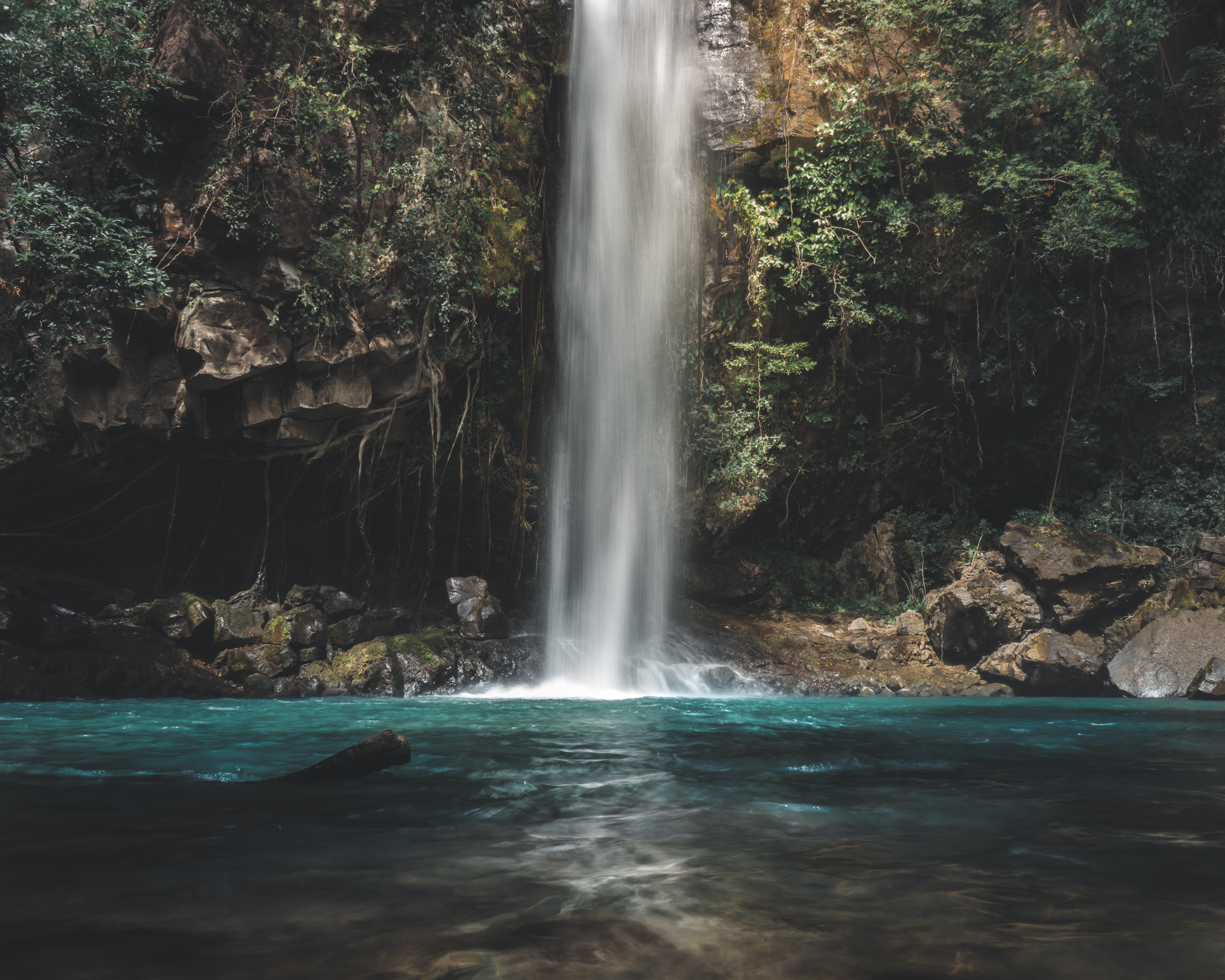 Waterfall in a lush forest HD Wallpaper