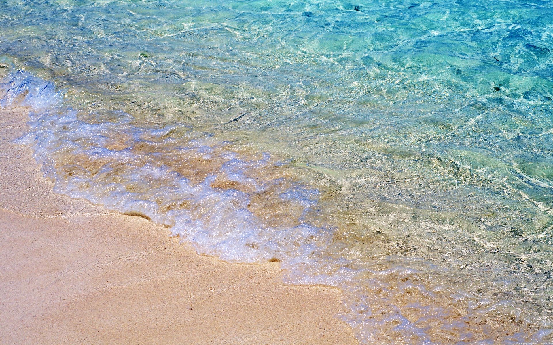 Clear turquoise water washes onto a sandy beach HD Wallpaper