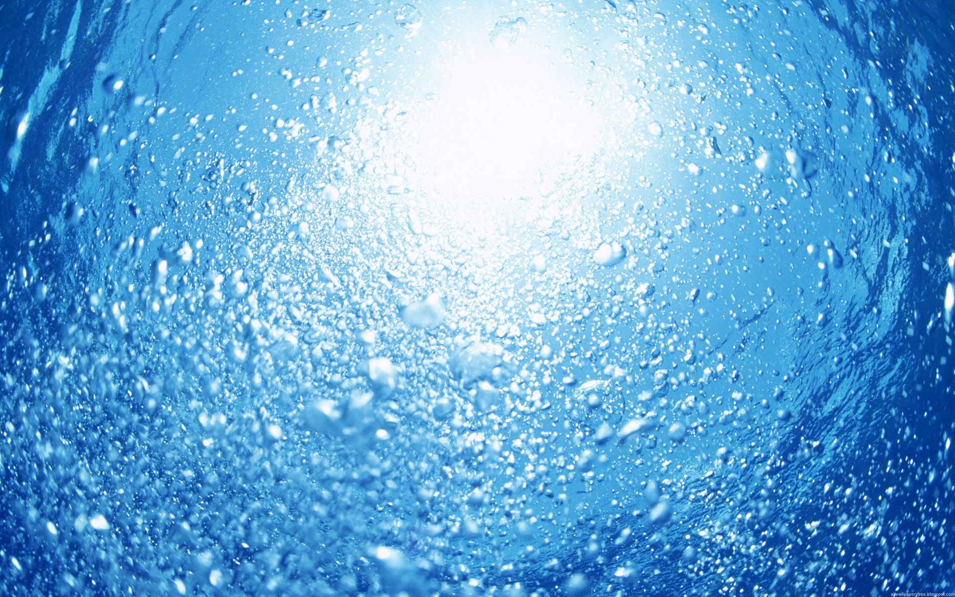 Bubbles rising towards sunlight underwater HD Wallpaper