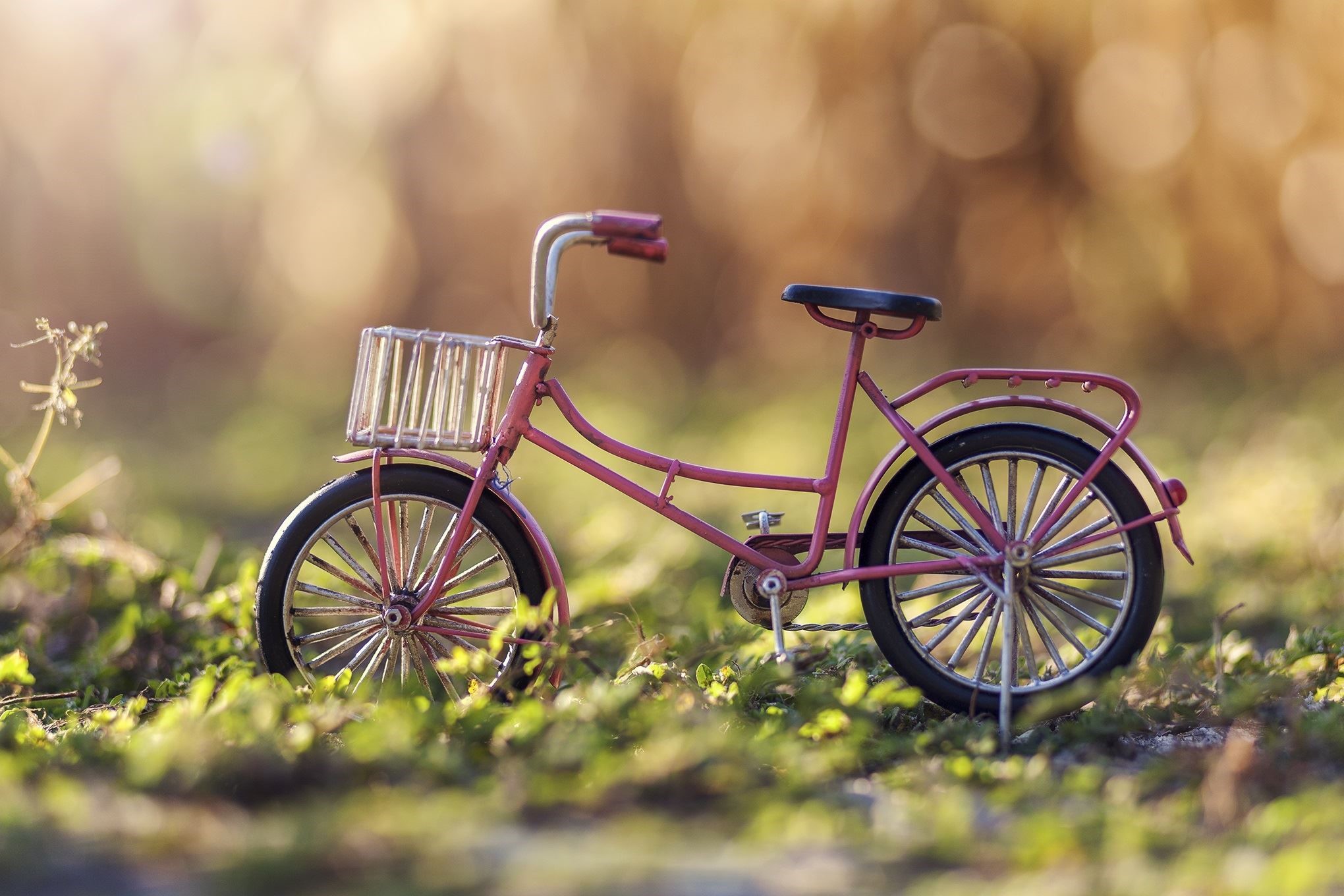 Miniature pink bicycle with basket in grass HD Wallpaper