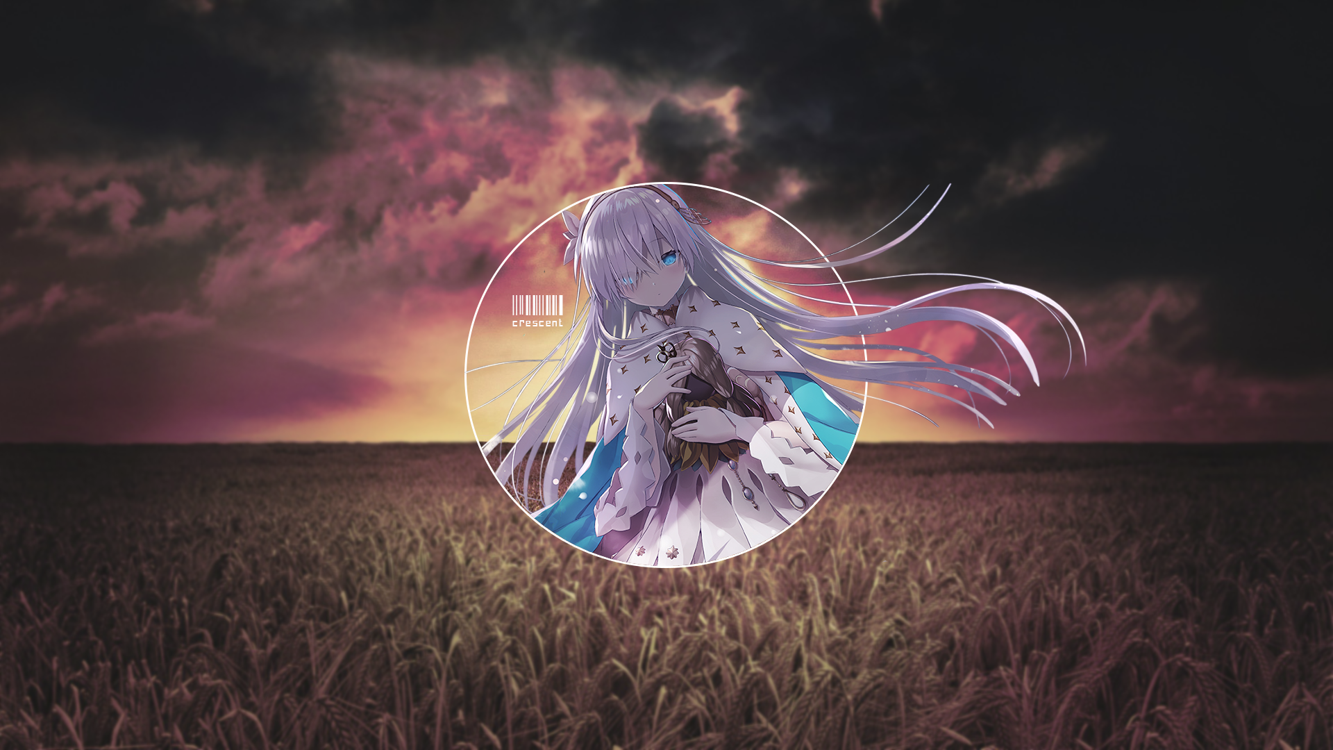 Anime girl with white hair in a wheat field at sunset HD Wallpaper