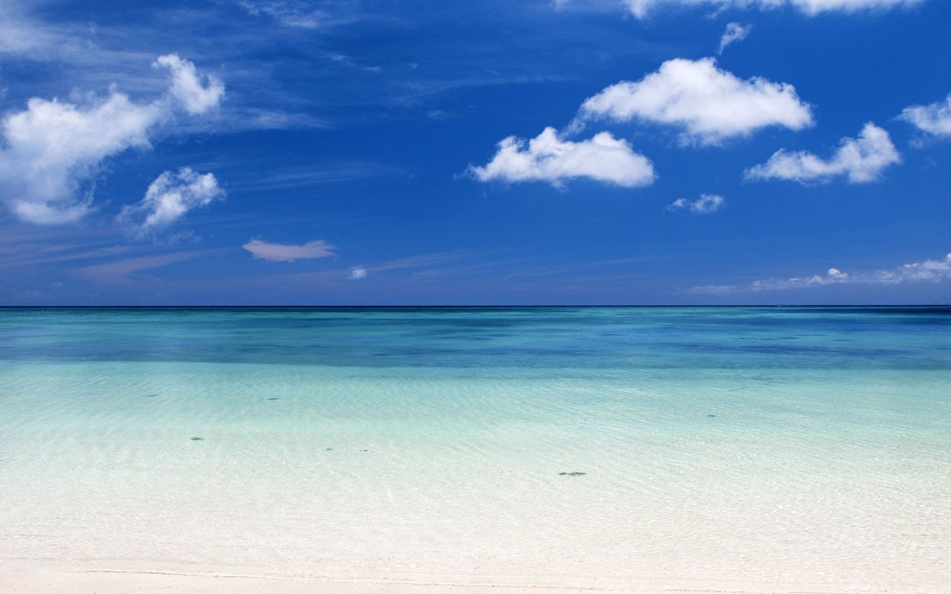 Clear turquoise ocean water and white sand beach under blue sky with clouds HD Wallpaper