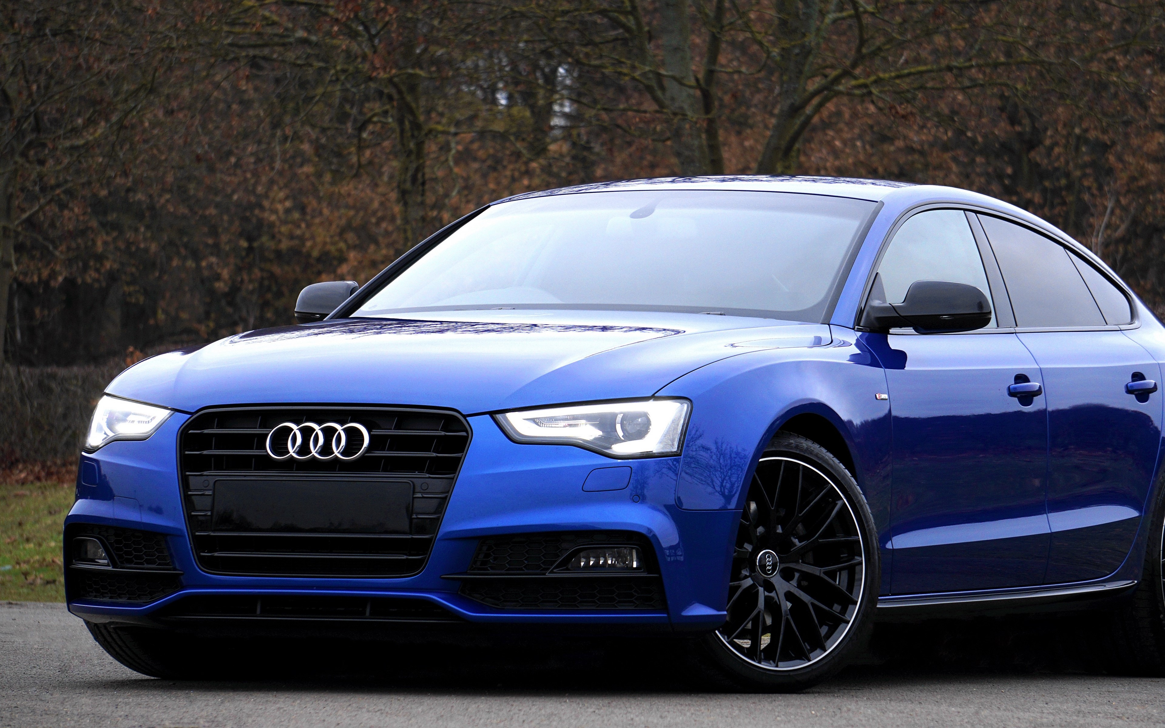 Blue Audi Car HD Wallpaper