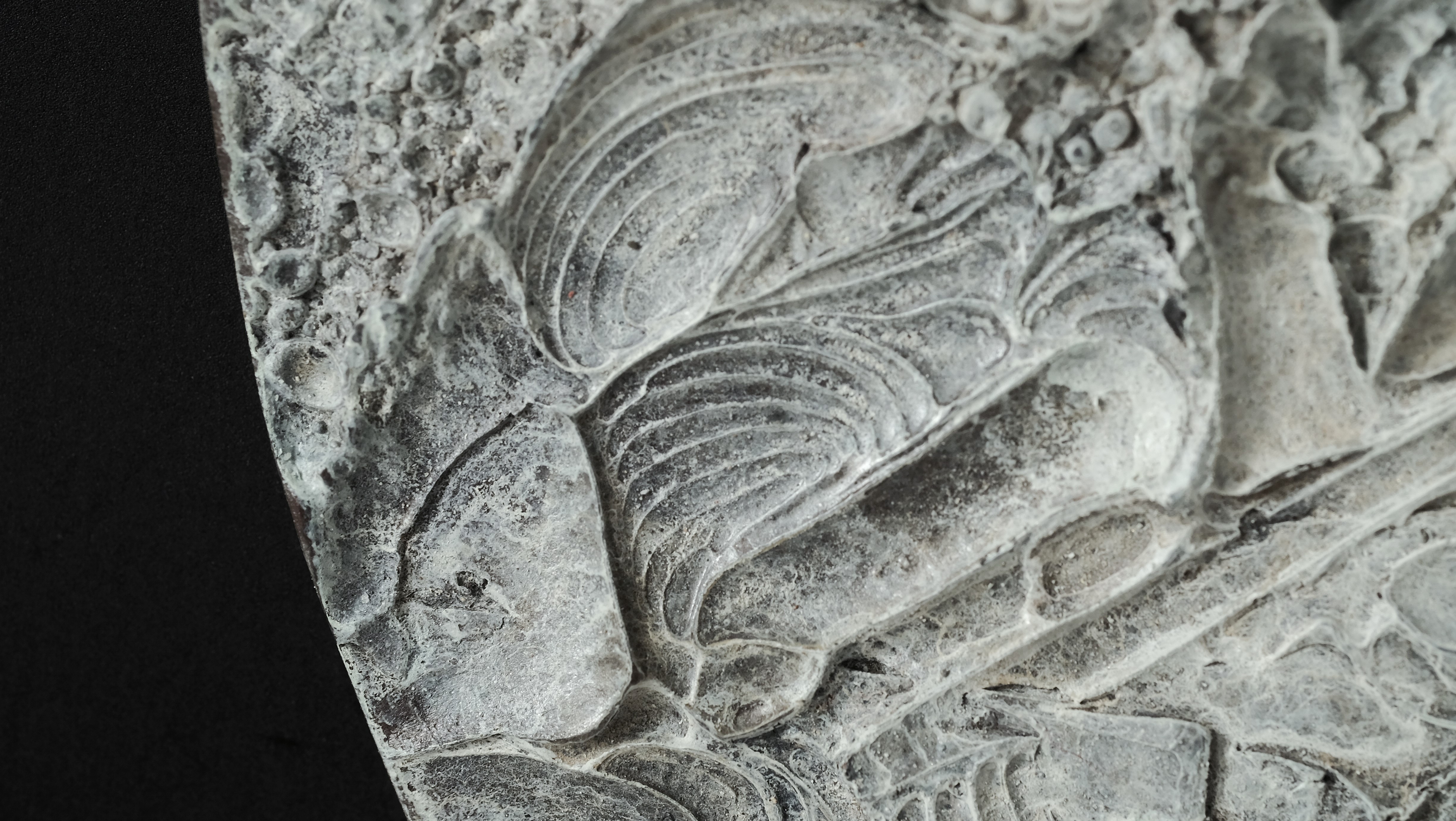 Fossilized shell and rock texture HD Wallpaper