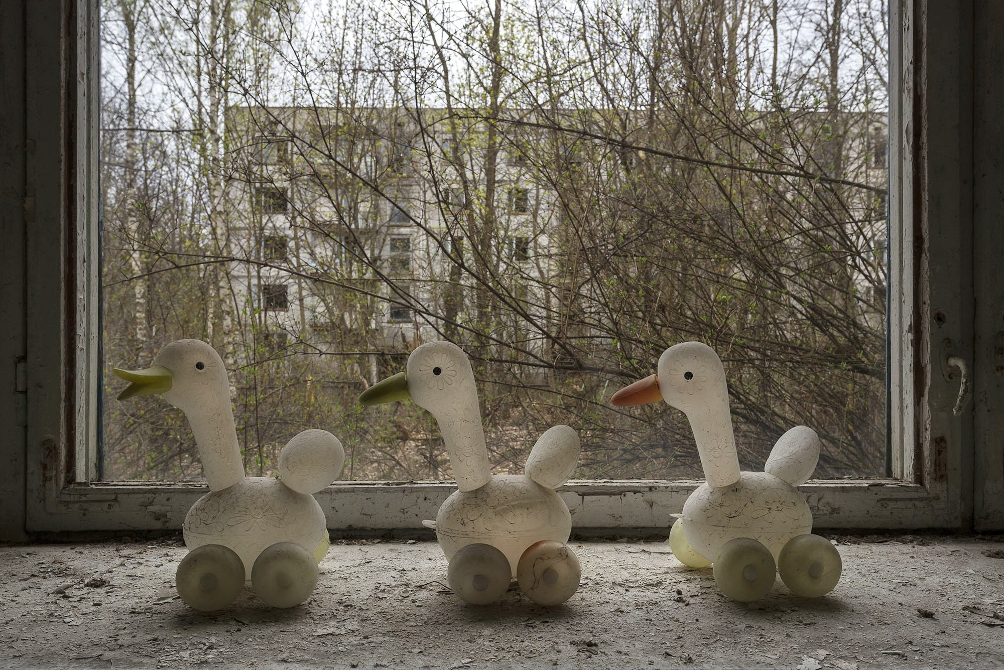 Three rubber duck toys on a windowsill in Chernobyl HD Wallpaper