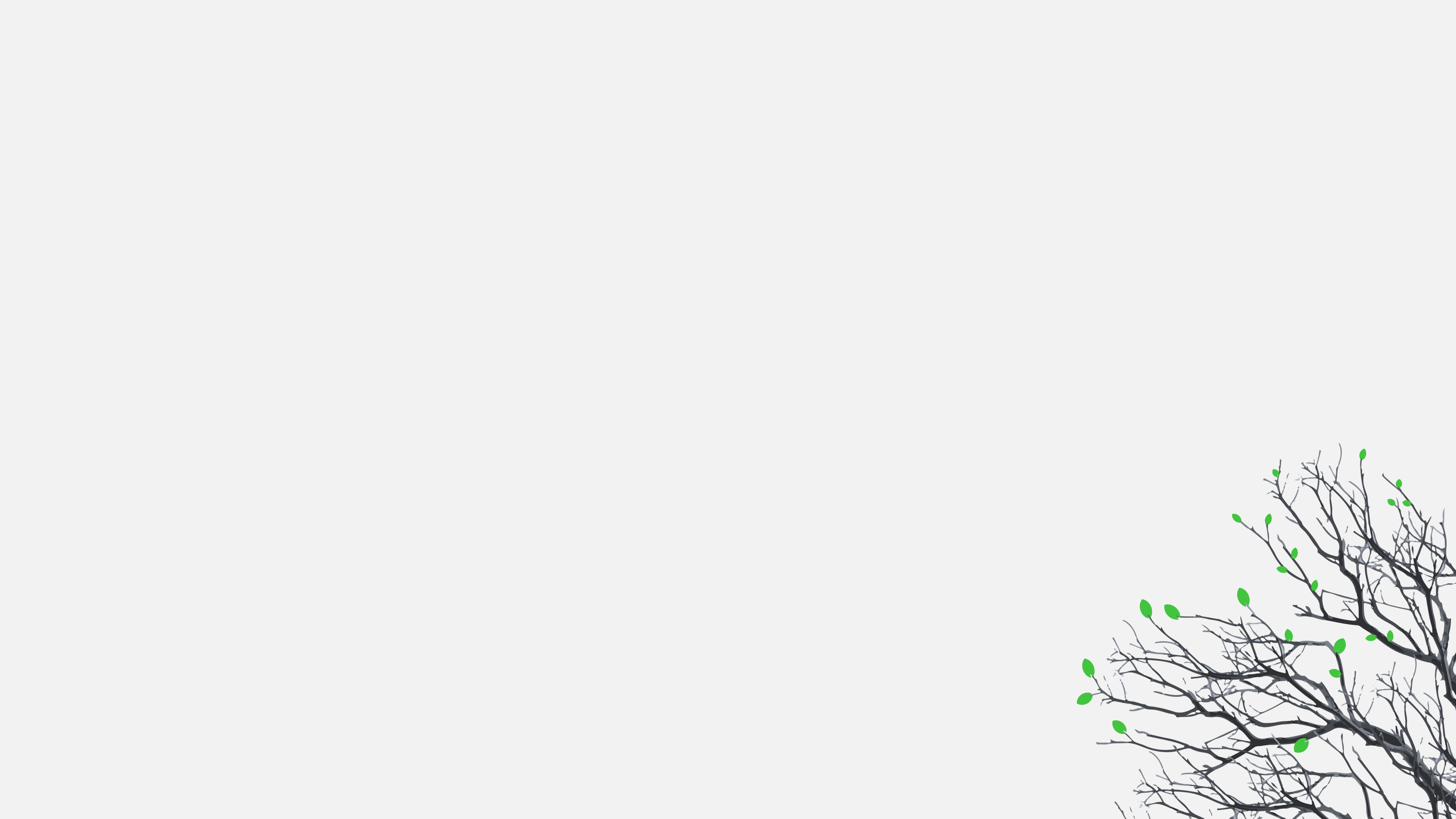 Minimalist Tree Branches with Green Leaves HD Wallpaper