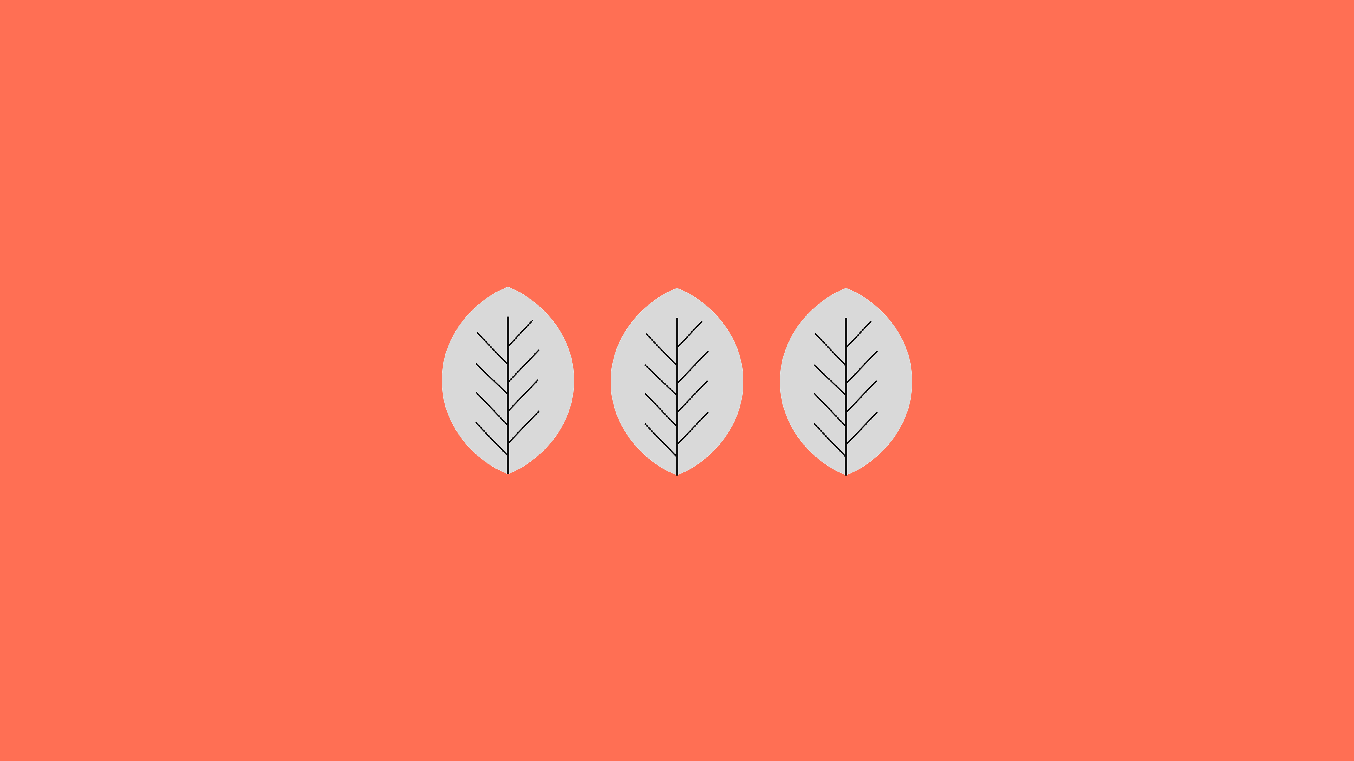 Three minimalist leaves on a coral background HD Wallpaper