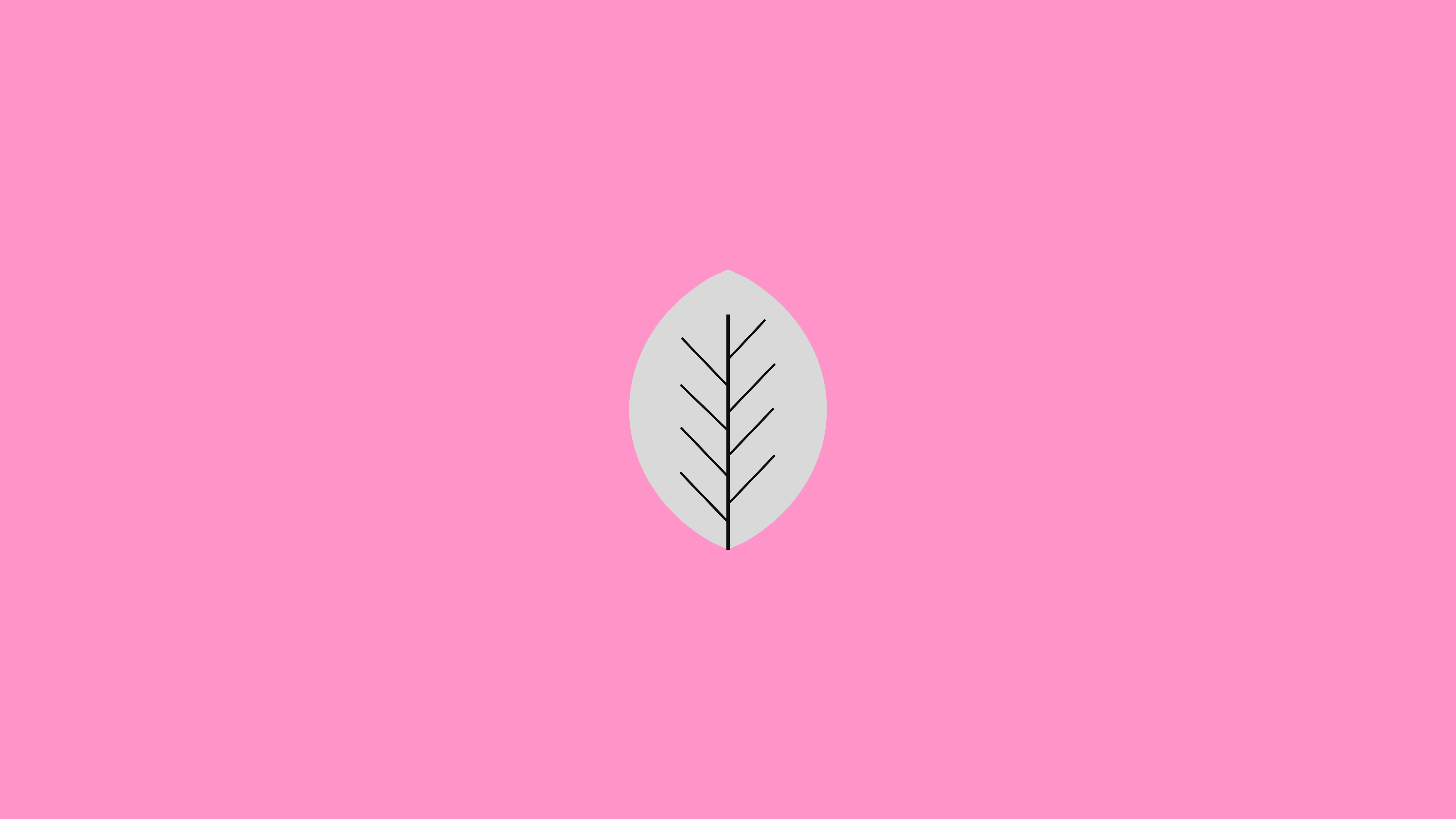 Minimalist leaf illustration on pink background HD Wallpaper