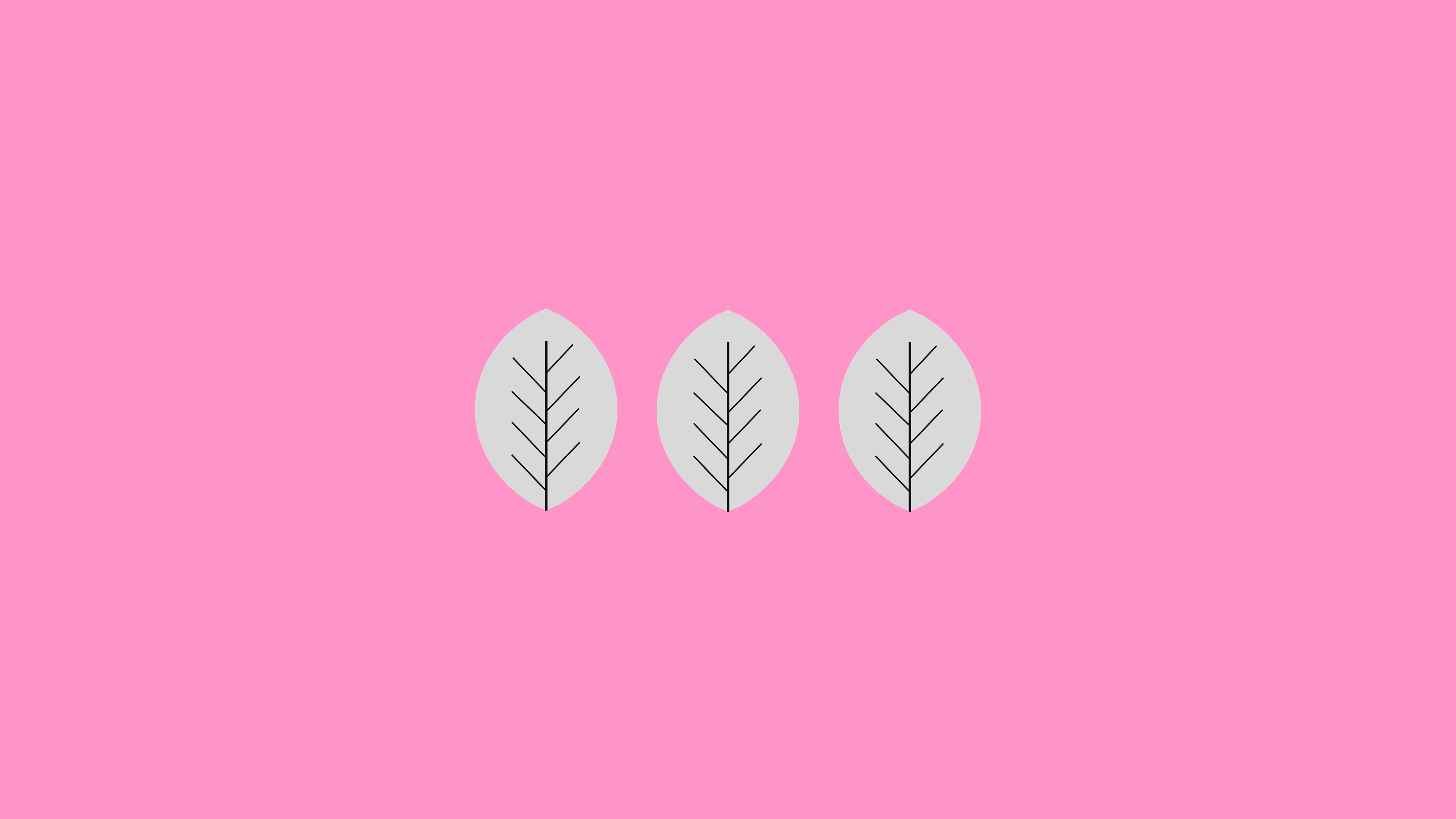 Minimalist leaves on pink background HD Wallpaper