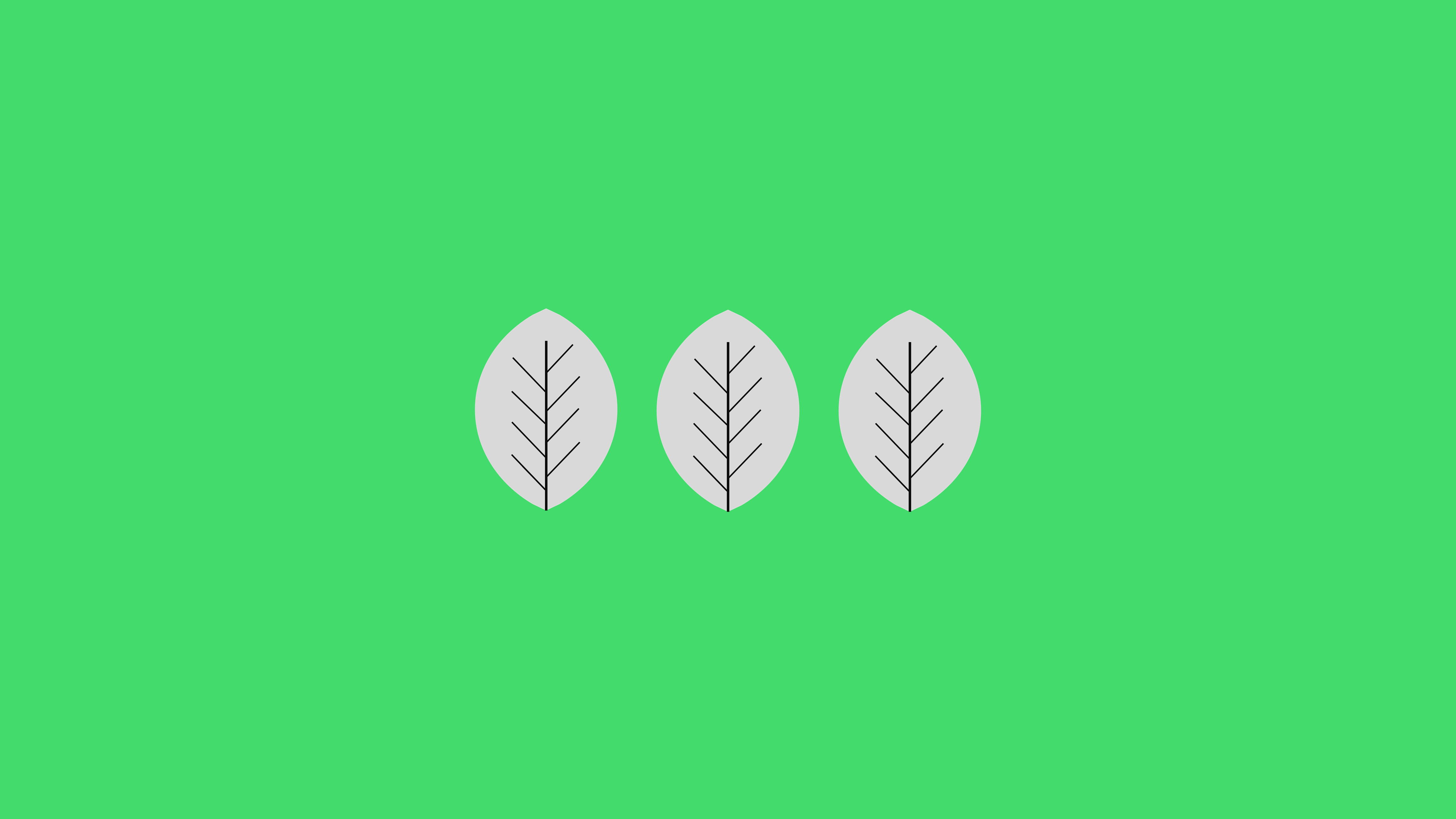 Three stylized leaves on a green background HD Wallpaper