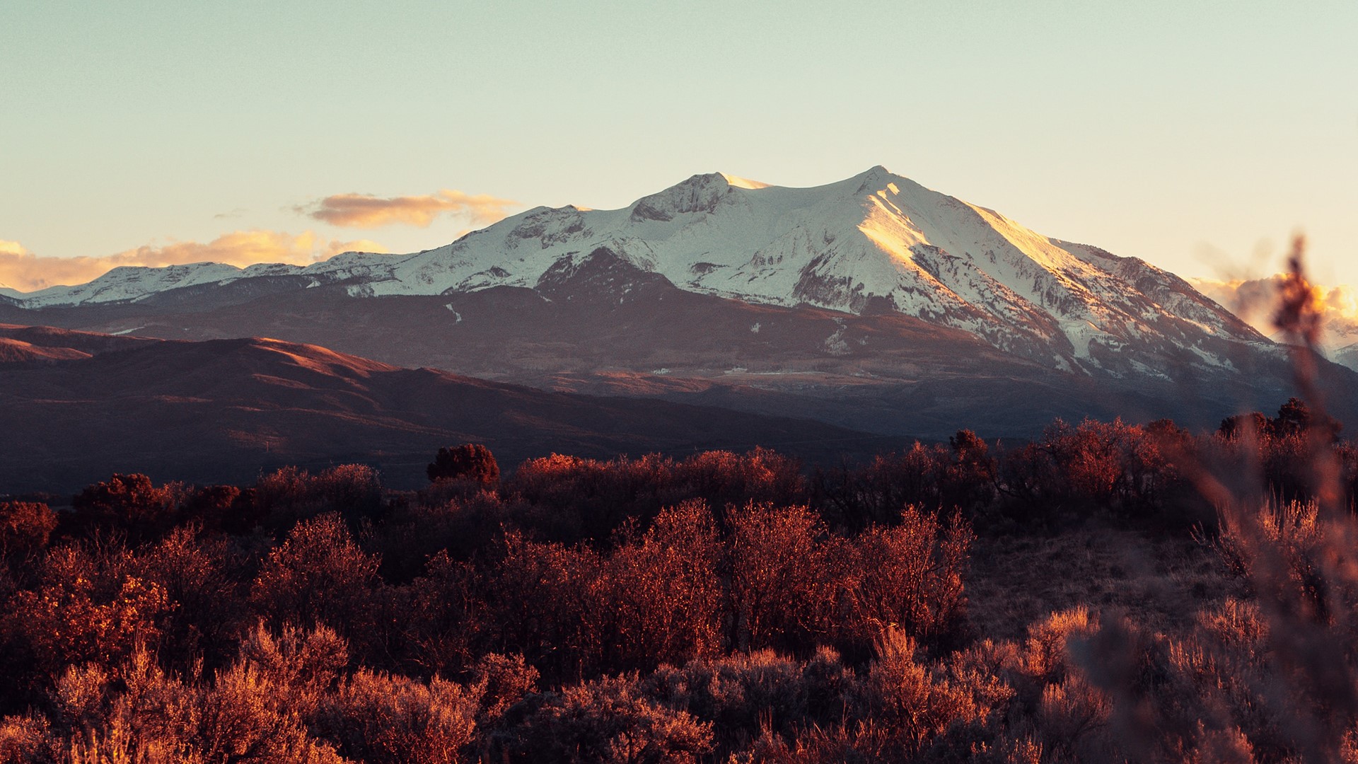 Snow-capped mountains at sunset with foreground trees HD Wallpaper