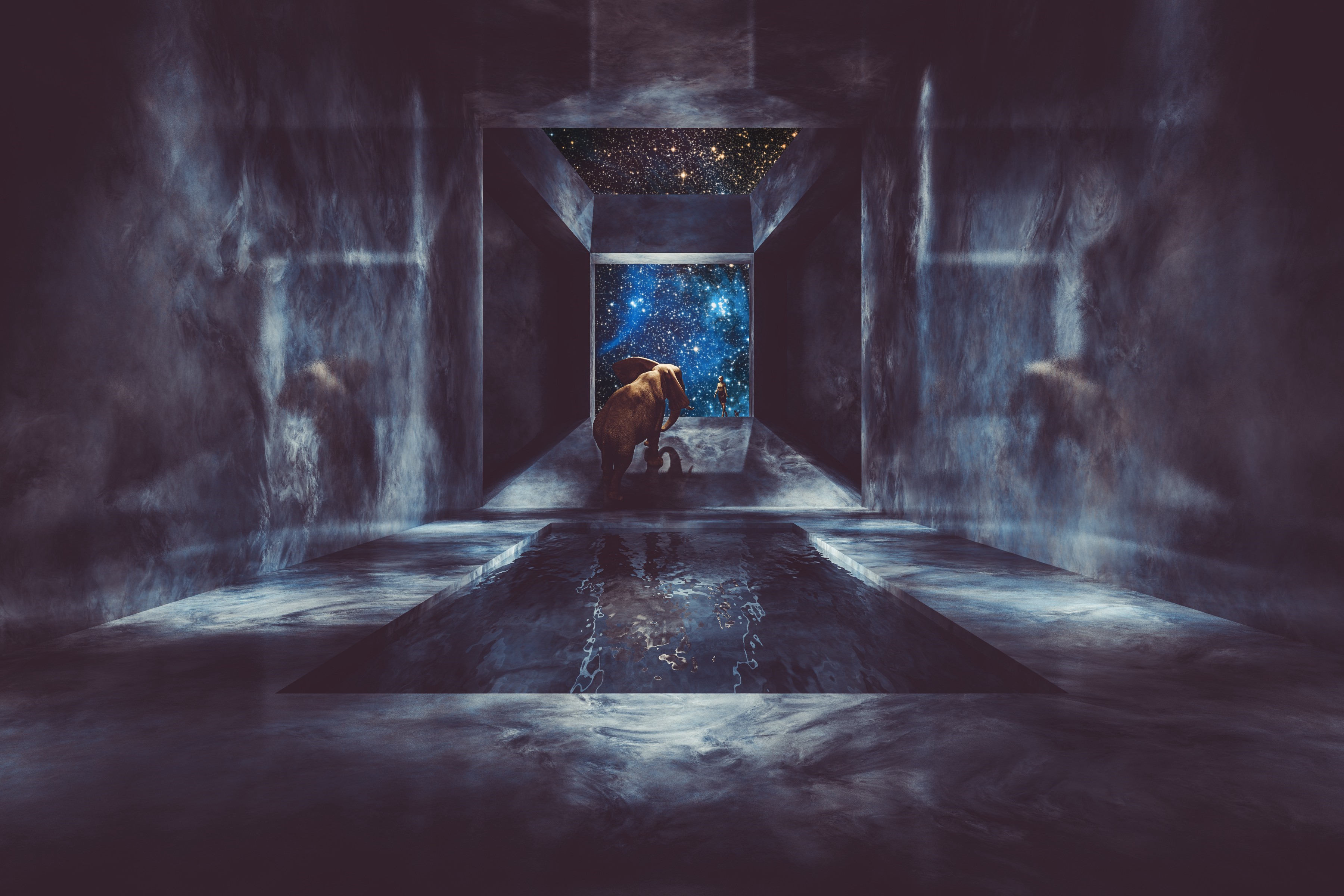 Elephant in a surreal corridor looking at stars HD Wallpaper