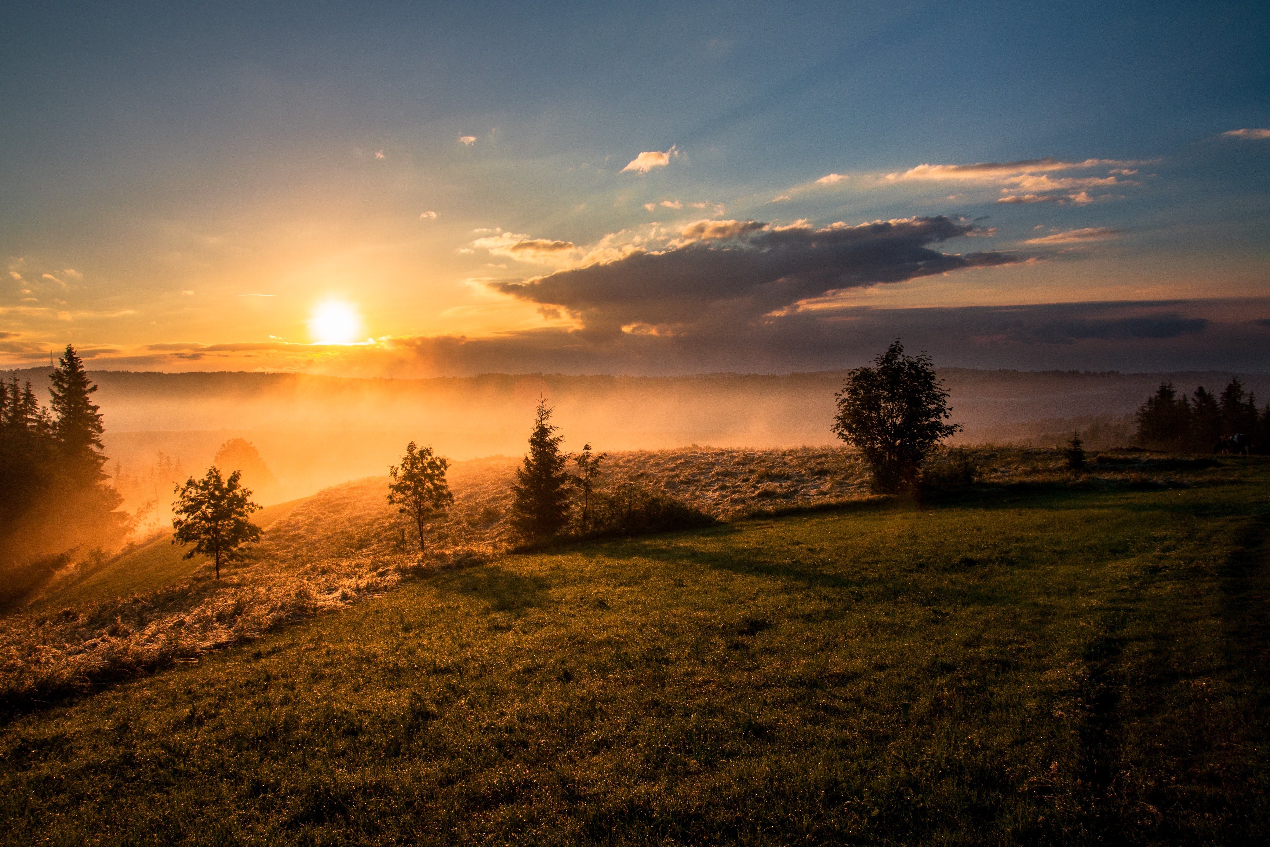 Sunset over misty hills with trees in Romania HD Wallpaper