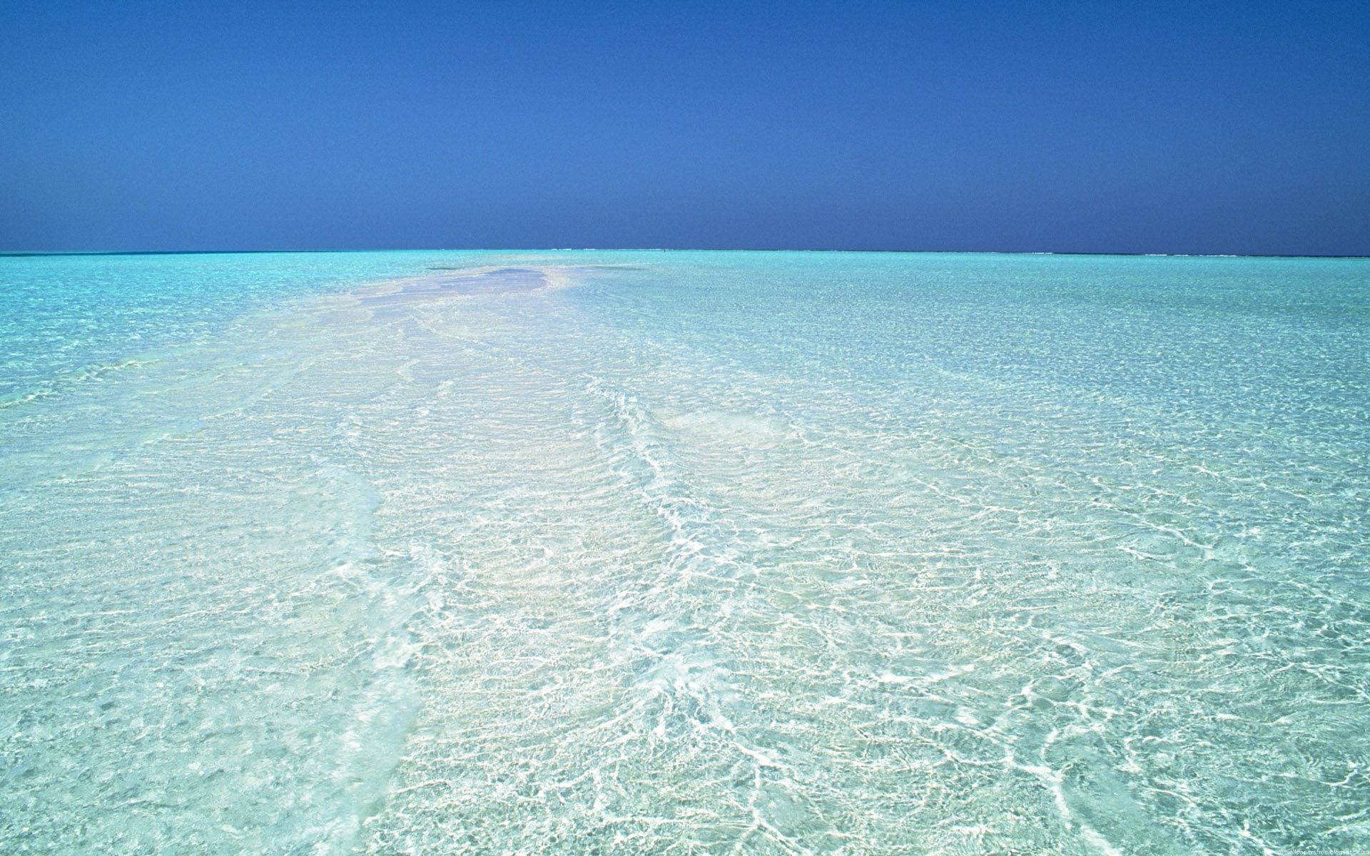 Clear turquoise water and blue sky HD Wallpaper