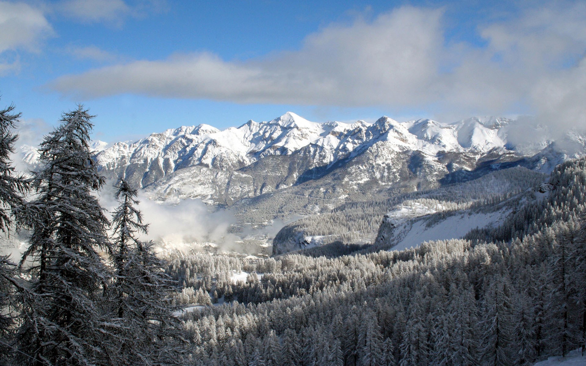 Snow-covered mountains and pine trees under a blue sky HD Wallpaper